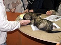 Heimtiermesse 2009   104